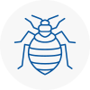 Bed Bug Extermination In Se23