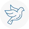 Bird Prevention Se23