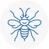 Se23 Hornet Nest Removals