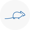 Mice Exterminators In Se23
