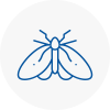 Moth Control Specialists In Se23