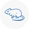 Rat Control Se23