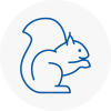 Se23 Rodent Removals