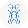 Se23 Wasp Nest Removal